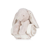 mm034_a8_front_edda25de_ibx_2026.jpg