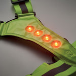 Vert Fluo