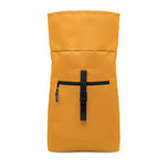 Ochre
