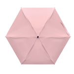 Rose Bébé