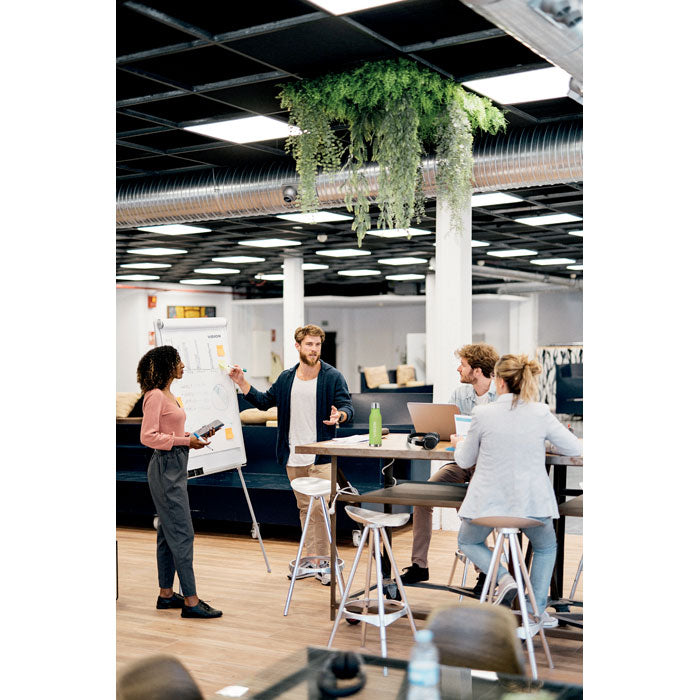 Vert Lime Transparent