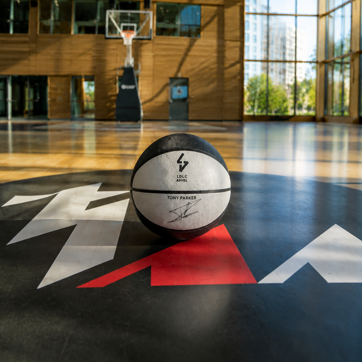 Ballon T5 basket
