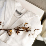 otchba_lifestyle_860f907b_ibx_2026.jpg