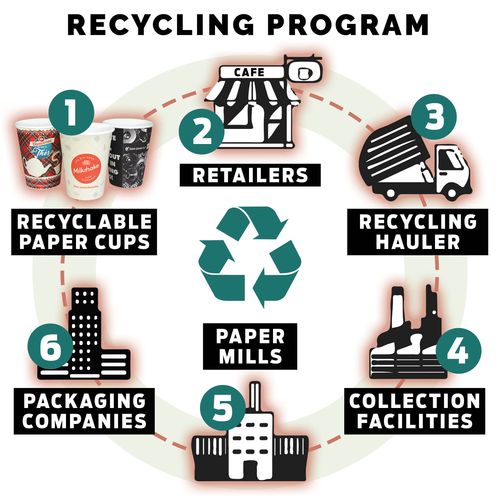 recycle_lifecycle_cups-id574-mars26.jpg