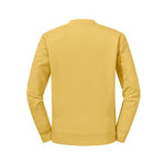 ru262m_8x_back_ea99790f_ibx_2026.jpg