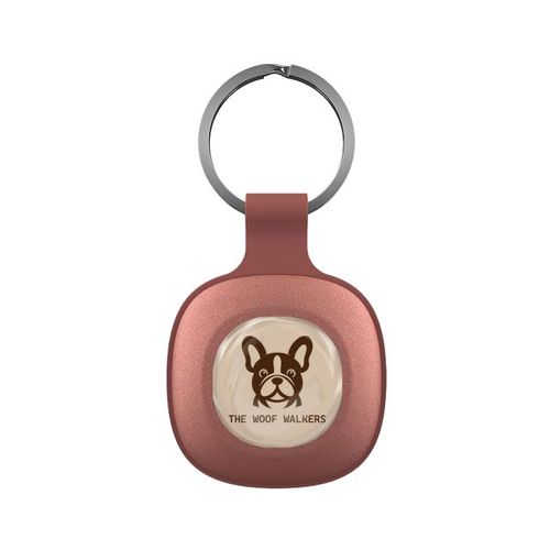 tmpl18353__v58322__a3911-id732-mars26.jpg